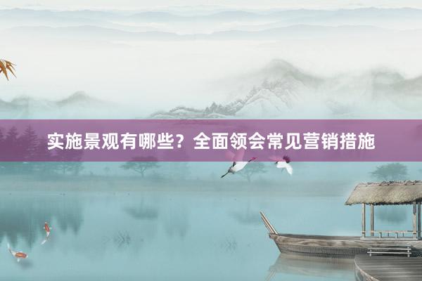 实施景观有哪些？全面领会常见营销措施